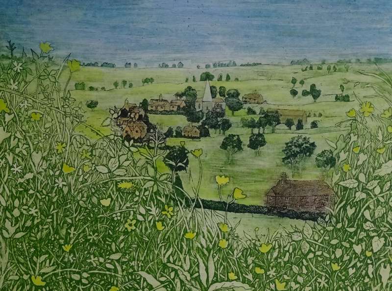 Summer Fields at Barham